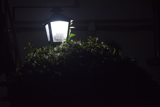Free Lantern Light photo and picture