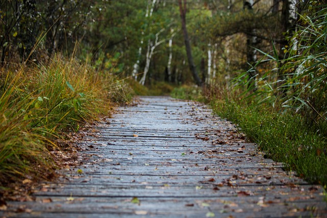 Wooden Path, Gangbro, Parkere, Sti