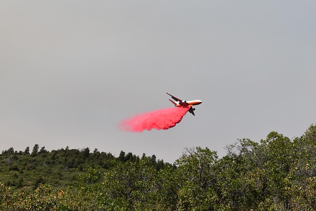 Free Grizzly Creek Fire photo and picture