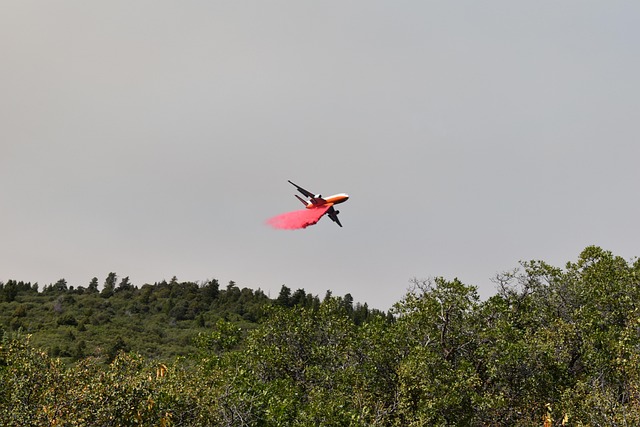 Free Grizzly Creek Fire photo and picture