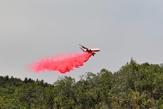 Free Grizzly Creek Fire photo and picture