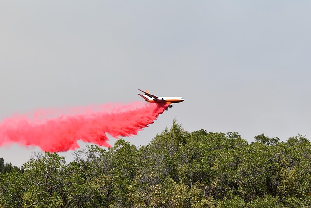 Free Grizzly Creek Fire photo and picture