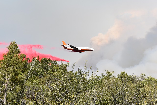 Free Grizzly Creek Fire photo and picture