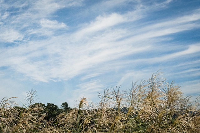 Free Fall Sky photo and picture