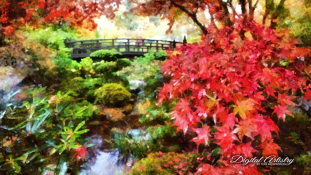 Free Artistic Colorful photo and picture