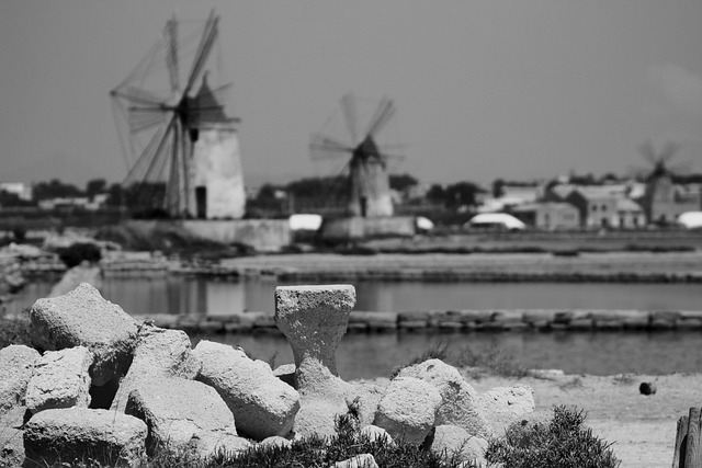 Free Mulini Salina photo and picture
