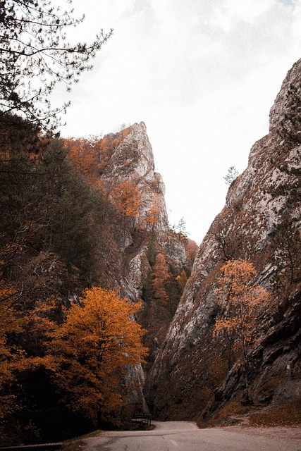 Free Mountain Road photo and picture