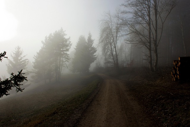Free Fog Trail photo and picture