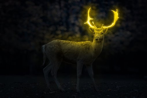 Free Fantasy Deer photo and picture