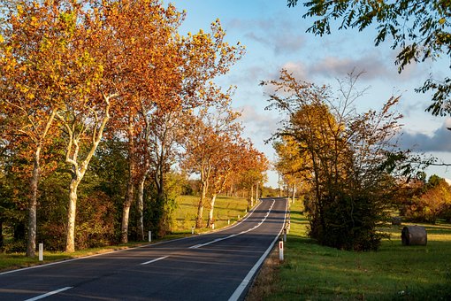 Free Road Autumn photo and picture