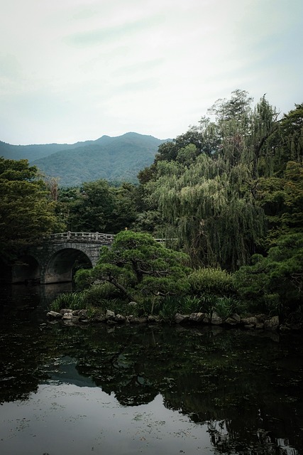 Free Mountain Lake photo and picture