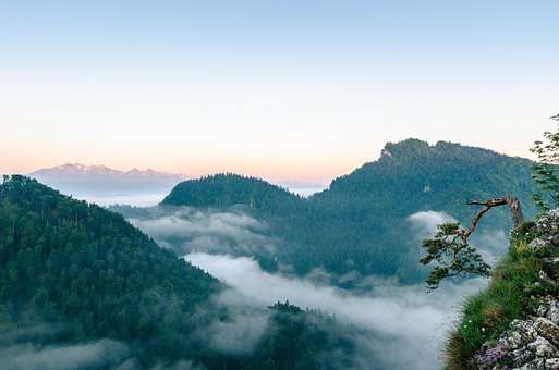 Free Mountains Trees photo and picture