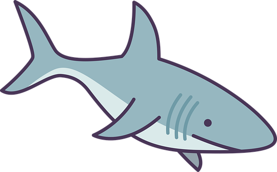 Free Shark Fish vector and picture