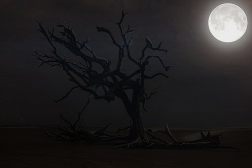 Free Nature Moon photo and picture