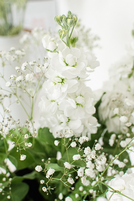 Blomster, Bukett, Blomsteroppsats, Bloom