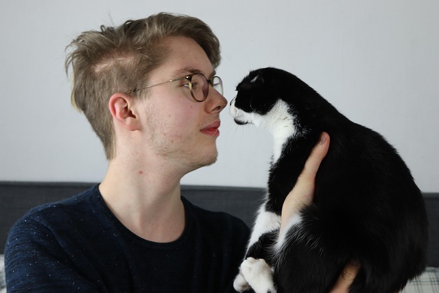 Free Cat Cute photo and picture
