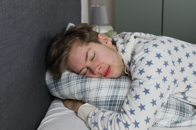 Free Sleep Bed photo and picture