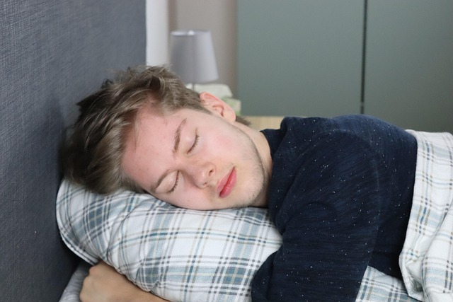 Free Sleep Bed photo and picture