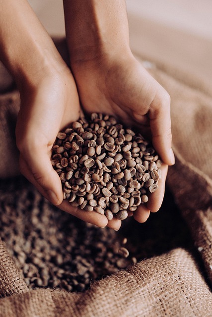 Granos De Café, Café, Arábica