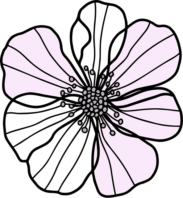 Free flower petals plant vector