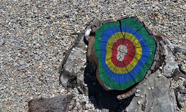 Hout, Boom, Schijf, Boomschijf, Doel