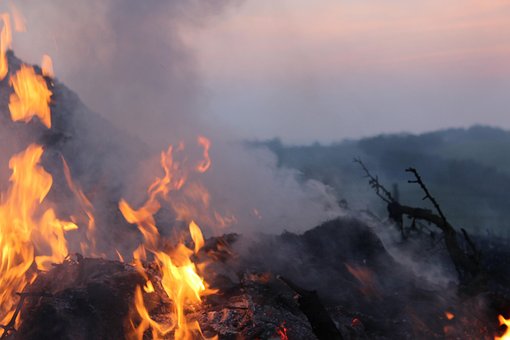 Free Fire Flame photo and picture