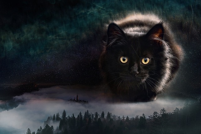 Free Cat Forest photo and picture