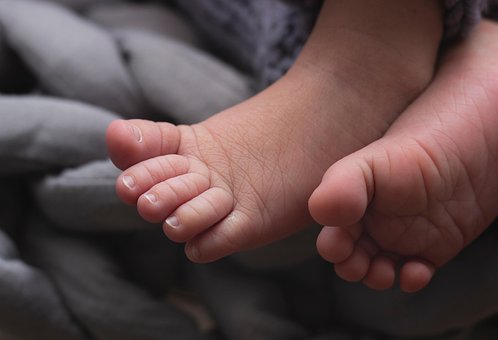 Free Newborn Feet photo and picture