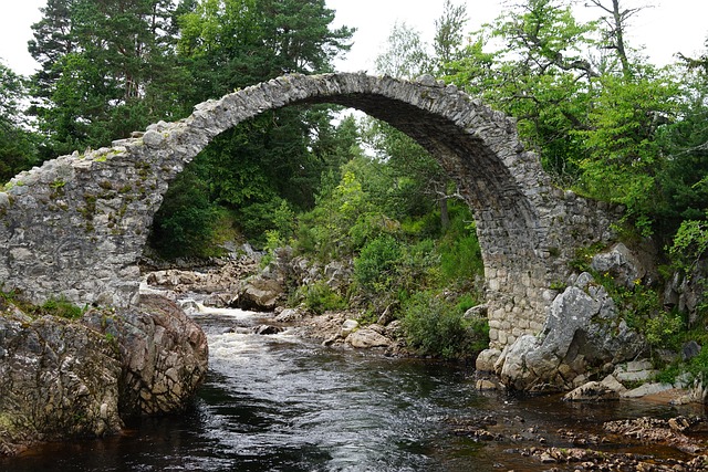 Free Packhorse Bridge Carrbridge photo and picture