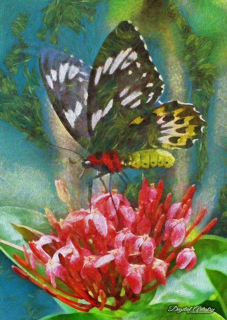 Free Butterfly Painterly photo and picture