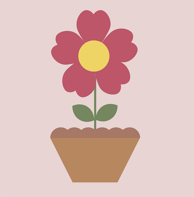 Flor, Planta, Pote De Flor, Bloom