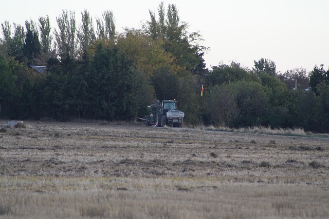 Campo, Hierba, Agricultura