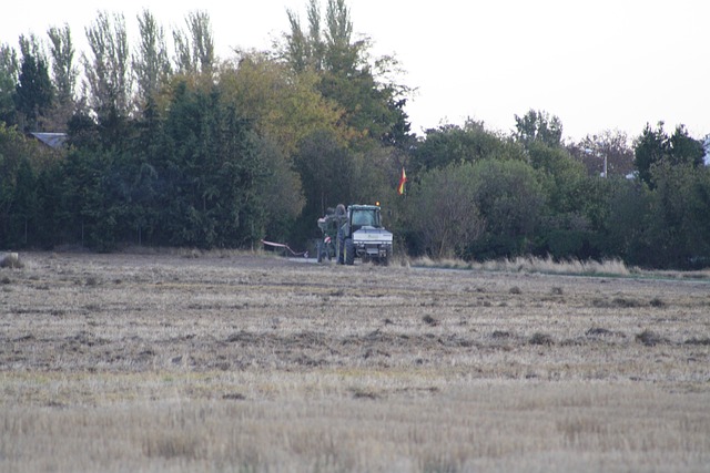Campo, Hierba, Agricultura