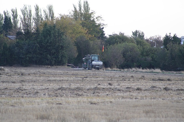 Campo, Hierba, Agricultura, Maquinaria