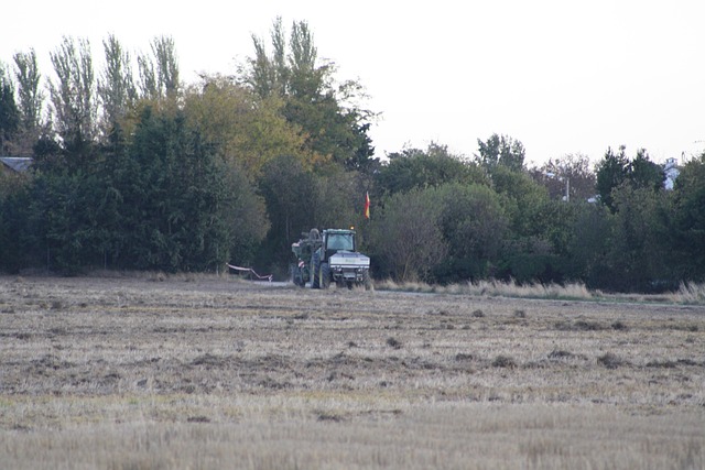 Campo, Hierba, Agricultura