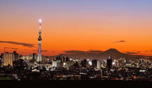 Free Tokyo Skytree Fuji Mountain photo and picture
