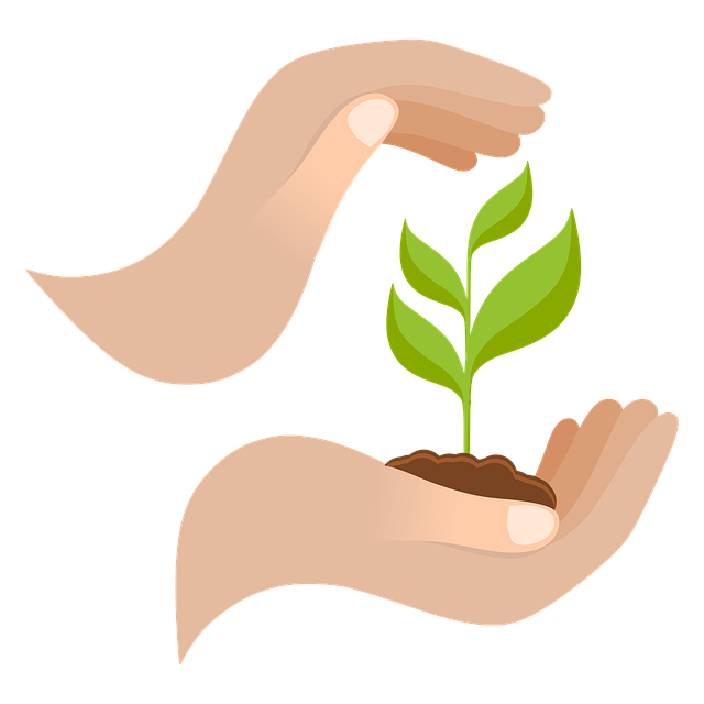 Free plant growth hands illustration