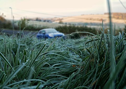 Suzuki, Wagen, Auto, Gras, Reisen
