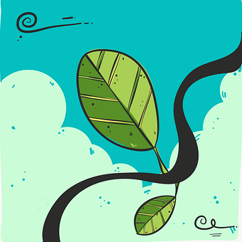 Free Leaves Nature illustration and picture