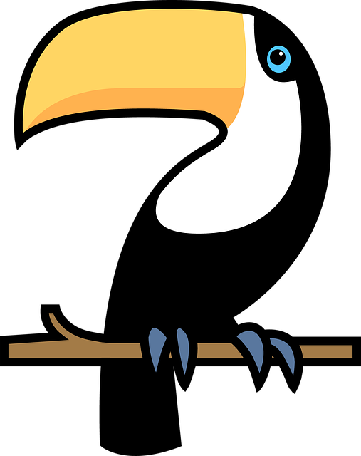 Tucán, Pájaro, Cuenta, Aves Exóticas