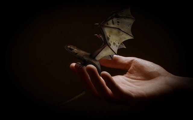 Free baby dragon hand dragon illustration