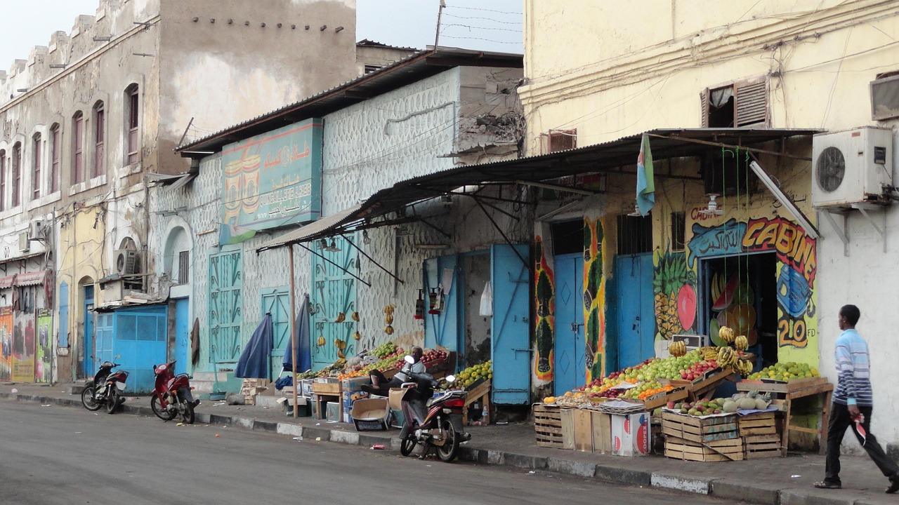Djibouti Digital Africa Digital Tools for Tiny Business Growth