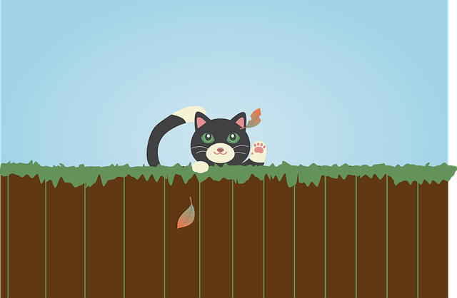 Free black cat fence fall vector