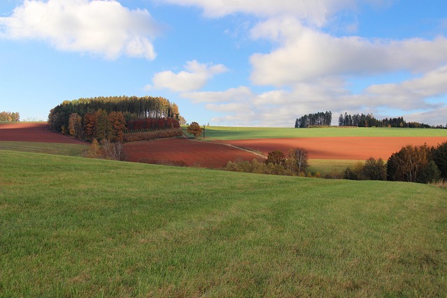Free Meadow Field photo and picture