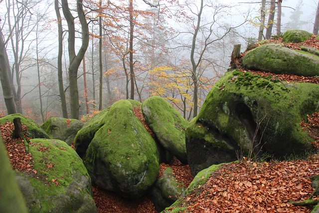 Free Calculus Green photo and picture