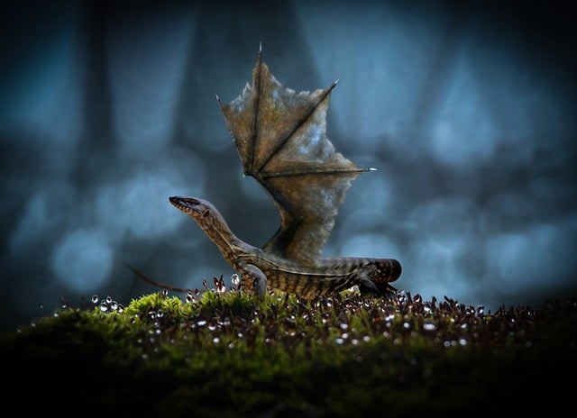Download free HD stock image of Dragon Moss Free dragon moss grass illustration