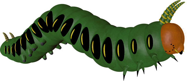 Free caterpillar insect animal illustration