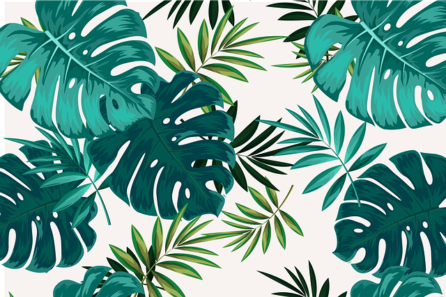 Download free HD stock image of Leaves Plants Free leaves plants design illustration