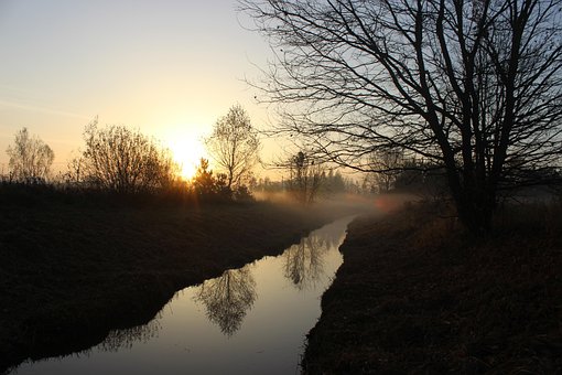 Free Nature Beauty photo and picture