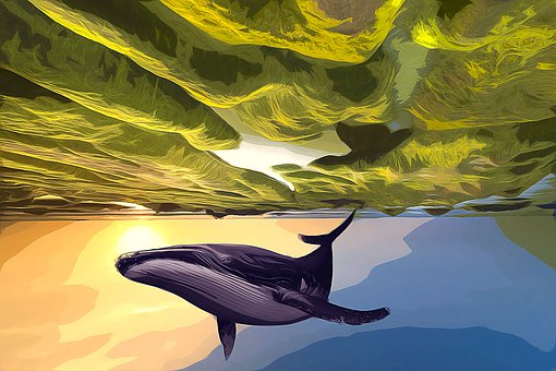 Free Whale Ocean illustration and picture
